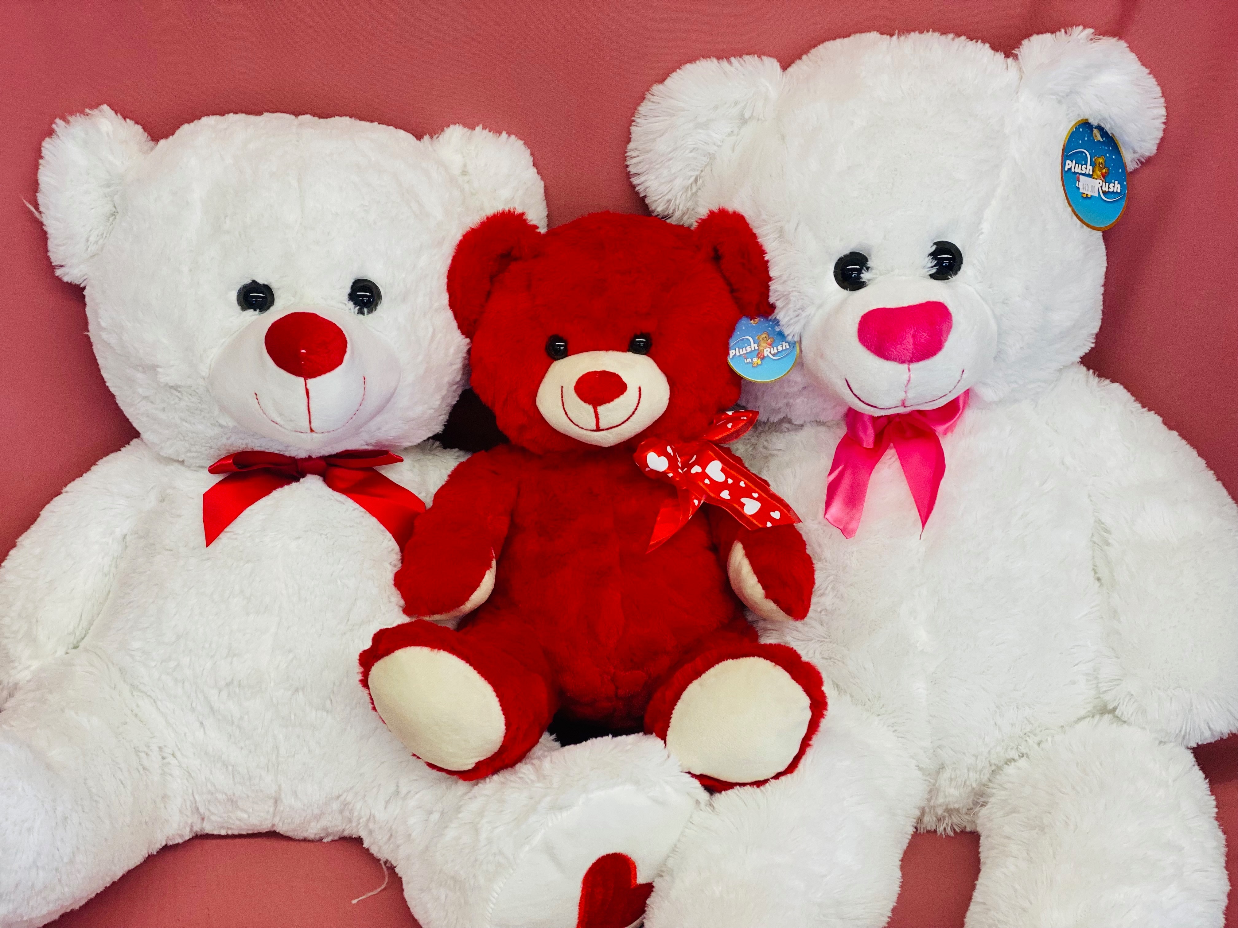 Medium Valentines Bear